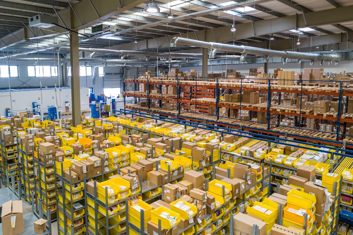 Warehouse worker verifying wholesale inventory boxes